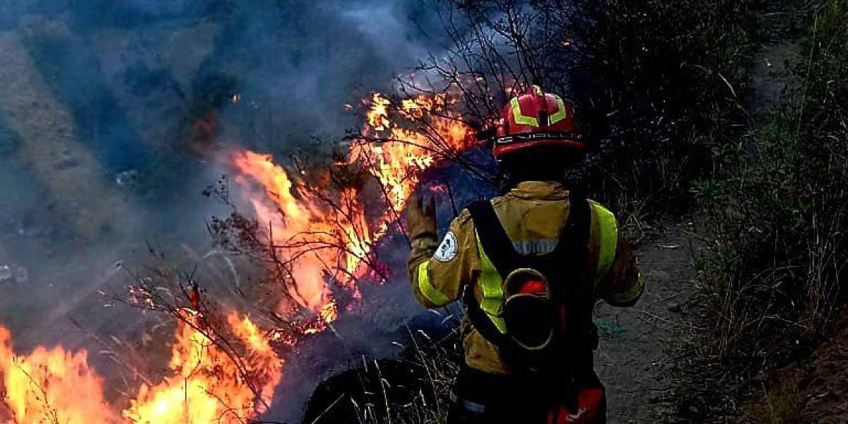 Incendios forestales Quito: la emergencia en Santa María de Cotocollao está controlada
