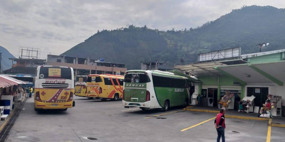 Dos juezas anulan decisión de ANT: buses podrán volver a circular por rutas y frecuencias suspendidas