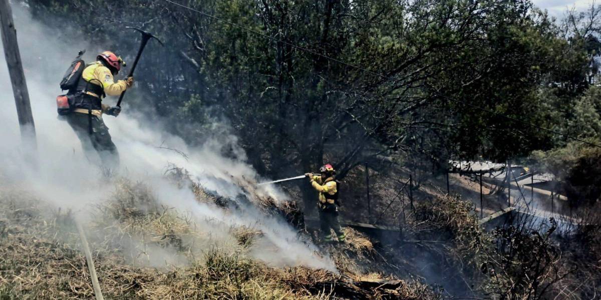 Incendios forestales Quito: los bomberos atendieron 83 emergencias durante la última semana