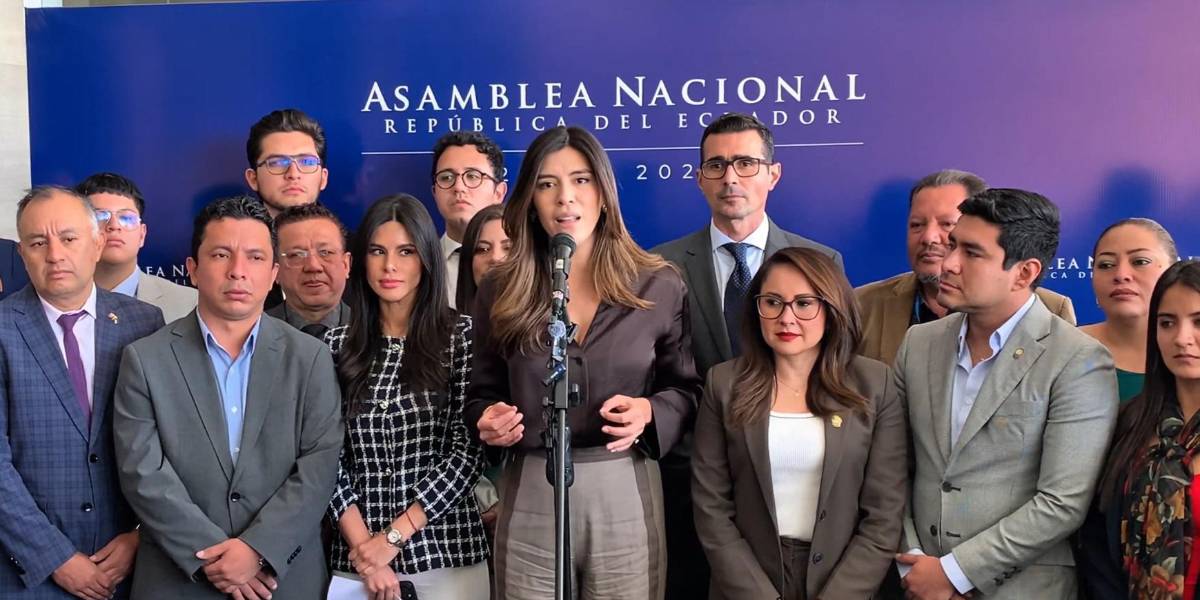 La bancada de ADN rechazó la suspensión parcial de tres leyes del presidente Daniel Noboa