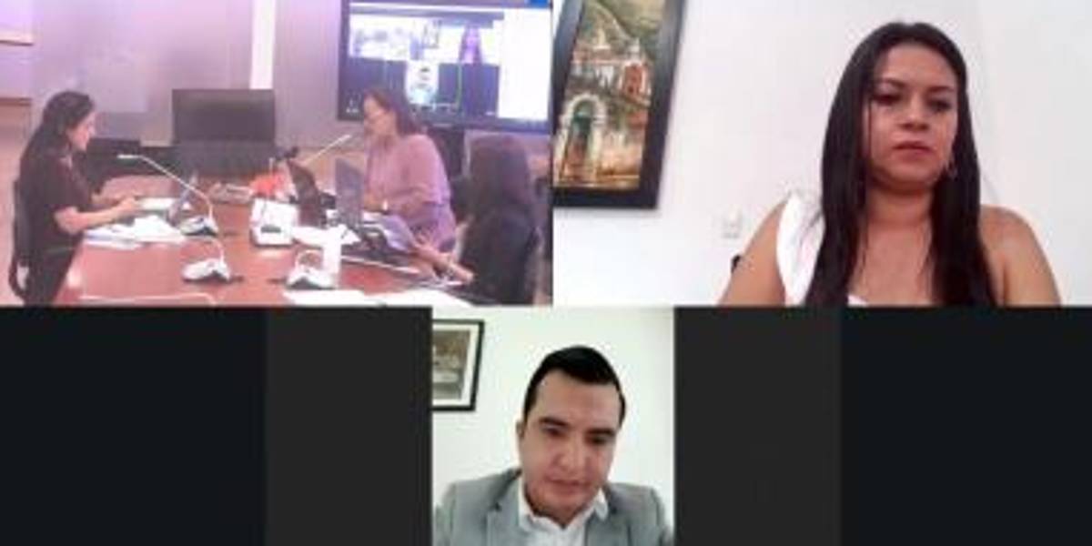 Asamblea: el informe de fiscalización relacionado con muertes neonatales en el Hospital Marco Vinicio Iza, en Sucumbíos, fue aprobado