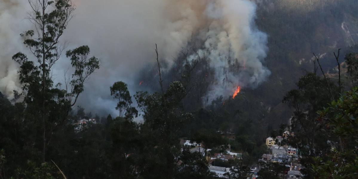 La sentencia de ocho meses de cárcel contra el autor del incendio en Guápulo fue ratificada