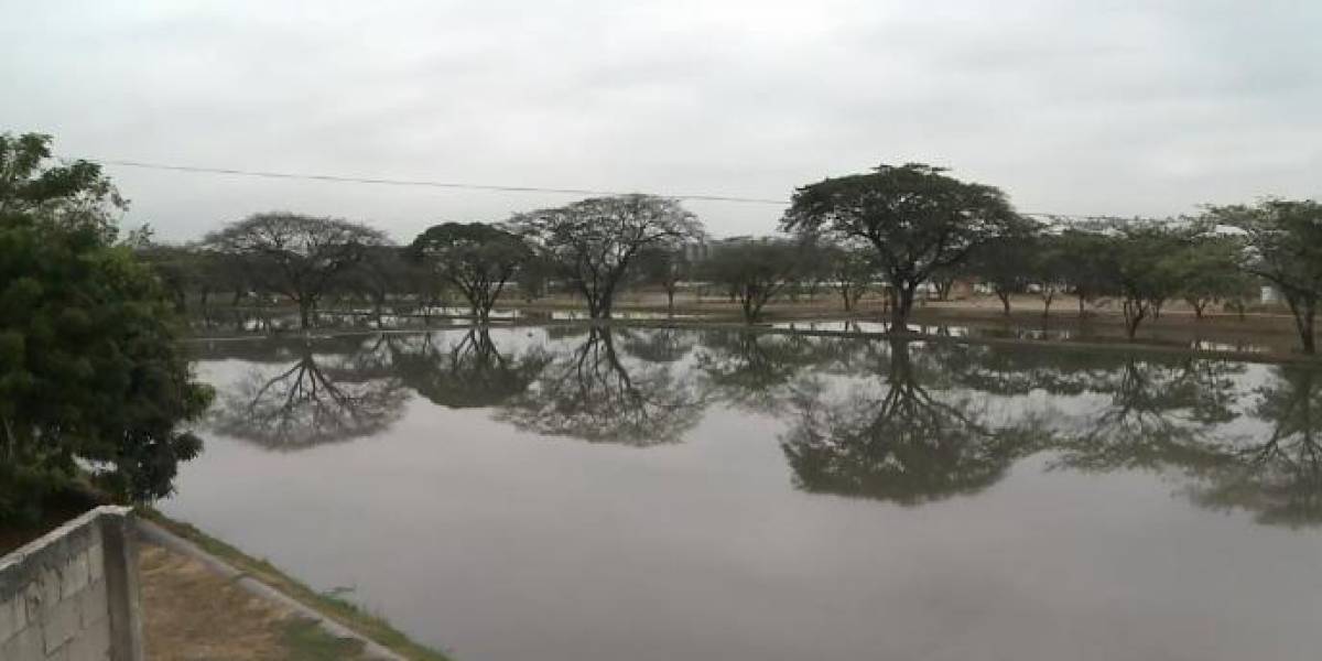 Interagua podría pagar hasta USD 80.000 por el hedor que emanan las lagunas de oxidación en el norte de Guayaquil