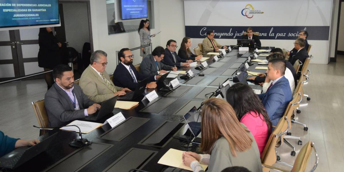 El proyecto para crear Unidades Judiciales Especializadas se presentó a las Cortes Nacional y Constitucional