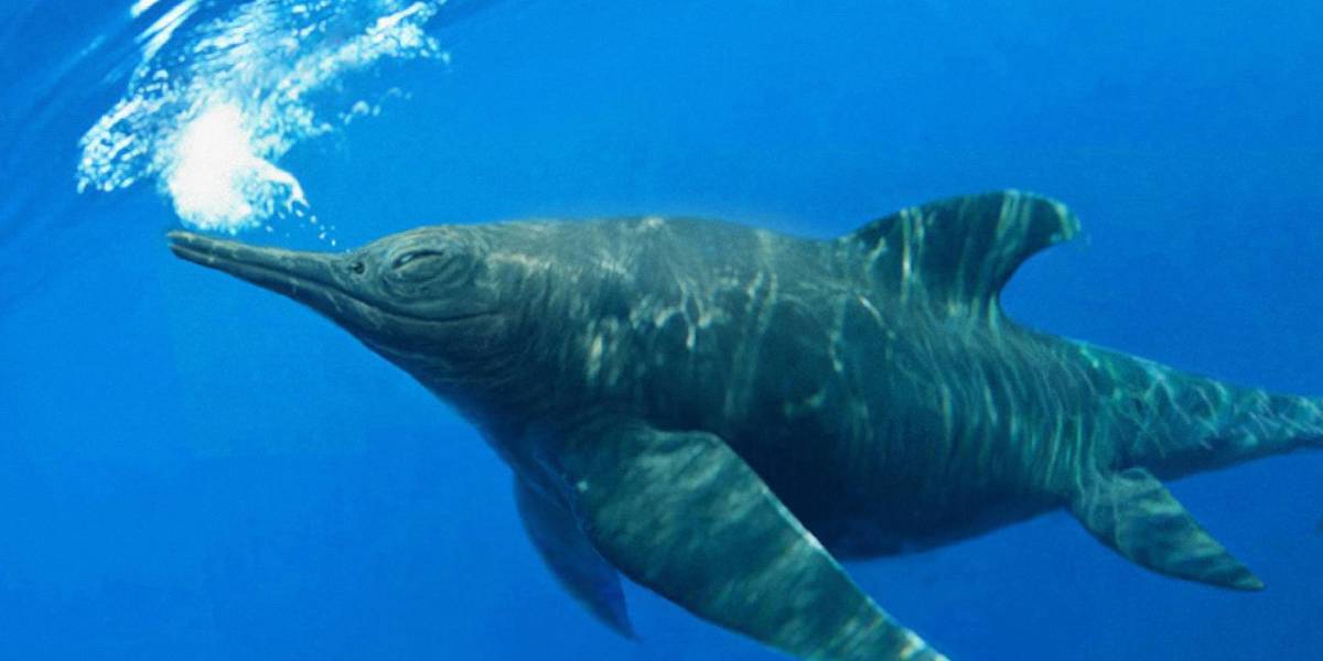 Encuentran en un glaciar de Chile a Fiona, el primer ictiosaurio completo