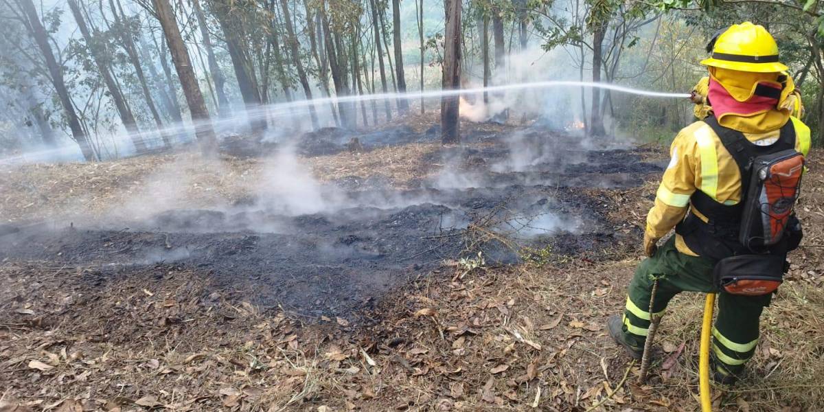 Quito: en Los Chillos se han quemado 77,23 hectáreas por incendios forestales en 2023