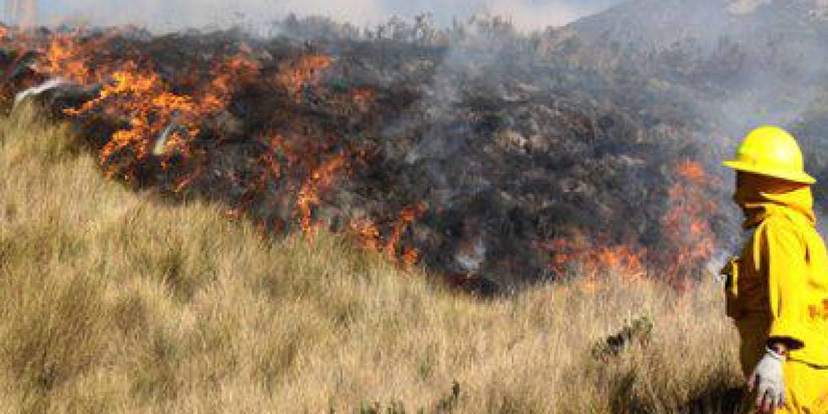 En Quito se reportaron 18 incendios forestales este viernes, según Municipio
