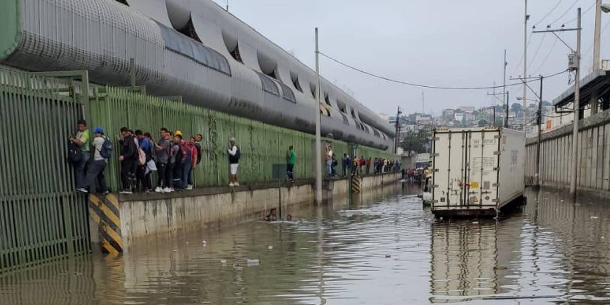 Una lluvia de mediana intensidad deja calles inundadas y un árbol caído en Guayaquil