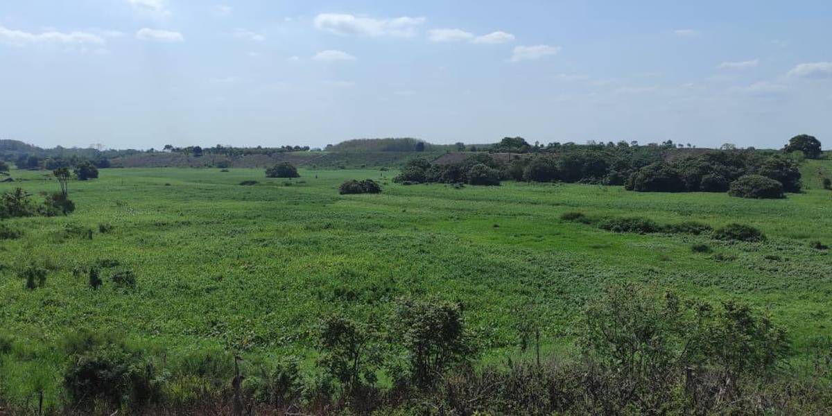 Ministerio del Ambiente suspendió actividades agrícolas por posible afectación al humedal Las Garzas