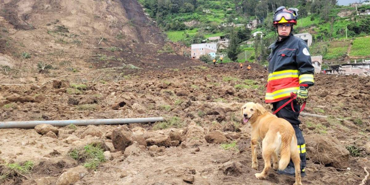 Deslave en Alausí: perros ayudan en la búsqueda de las víctimas