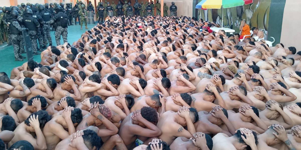 Crisis carcelaria Ecuador | Una piscina de tilapias y una granja con pollos y patos son halladas dentro de la Penitenciaría del Litoral
