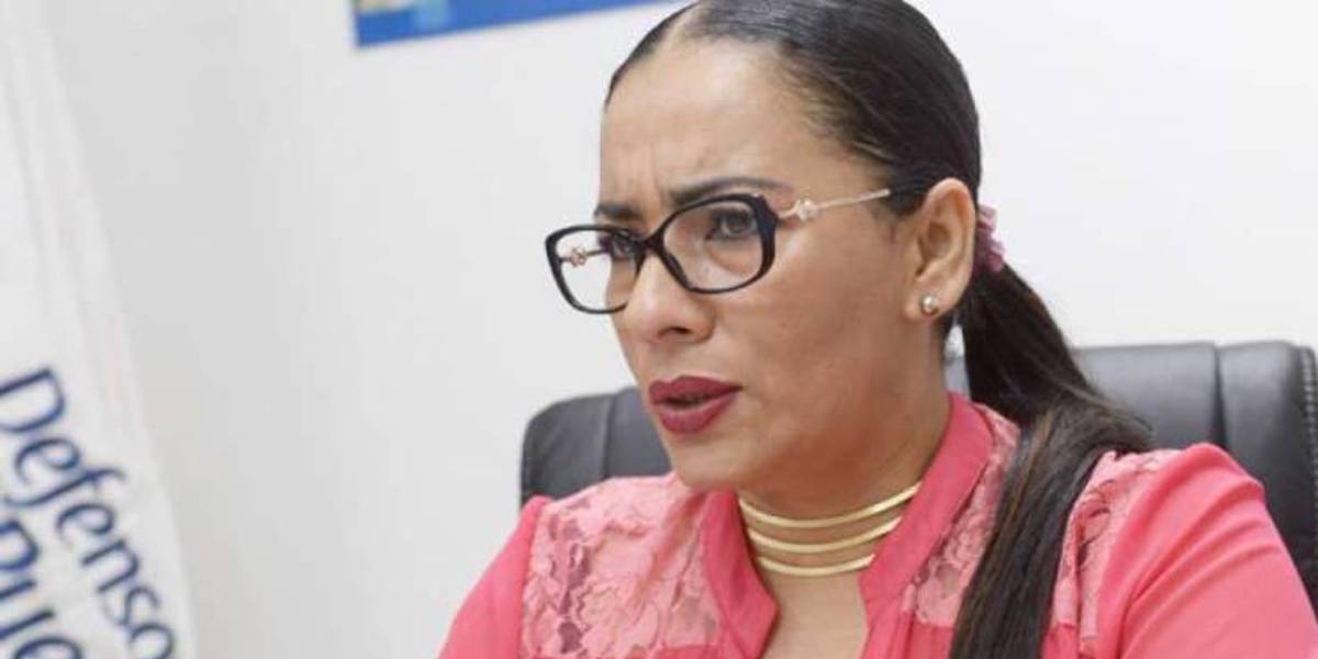 Defensora del Pueblo subrogante confiesa haber sido amenazada de muerte