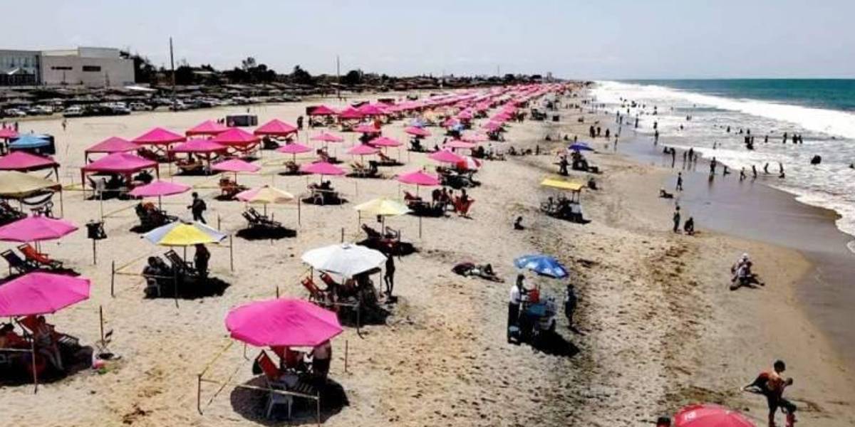 Alrededor de 22.000 establecimientos cobrarán menos IVA este feriado por Carnaval