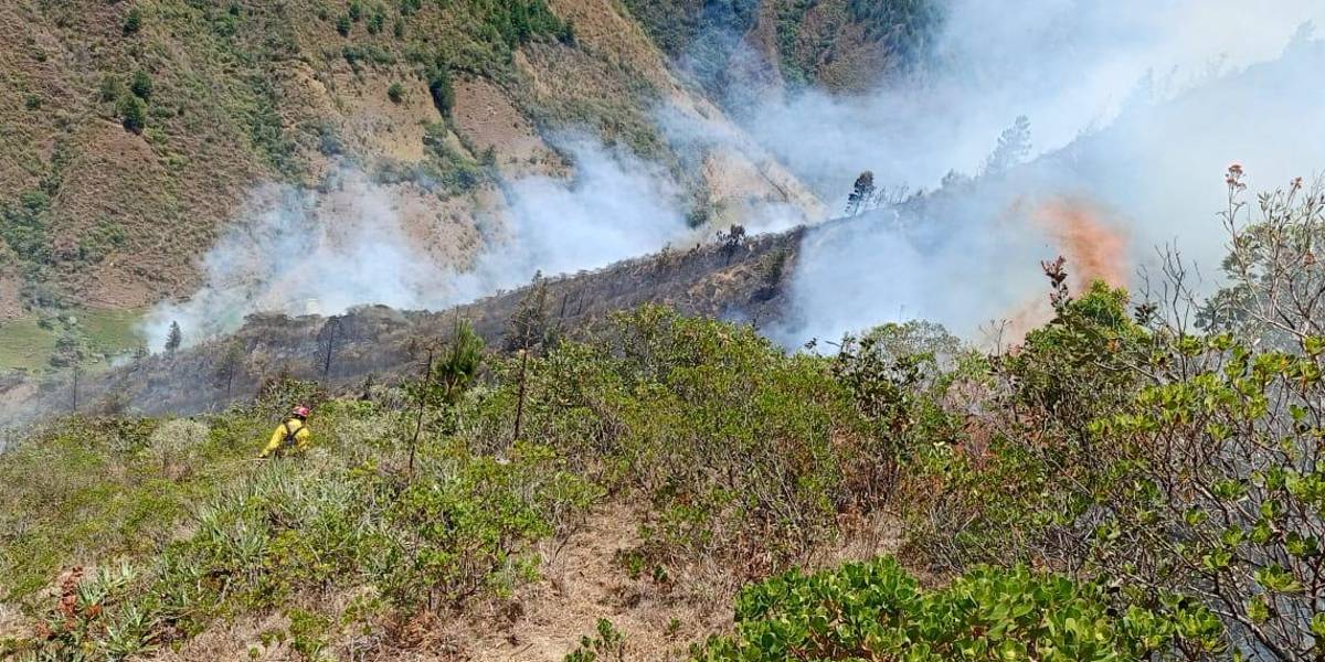 El incendio forestal en el bosque de Espíndola, en Loja, ya consumió 95 hectáreas