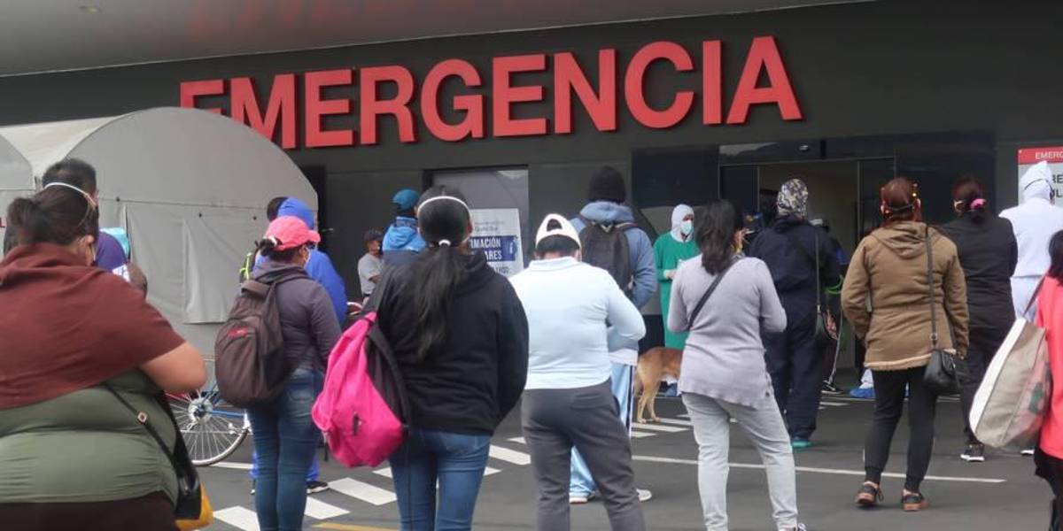 Variantes alfa y gama están presentes en 19 provincias; la delta, en 12