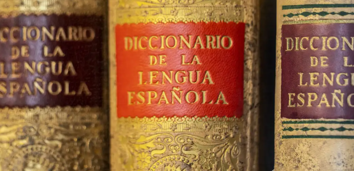 La RAE presenta las nuevas palabras del diccionario para 2024
