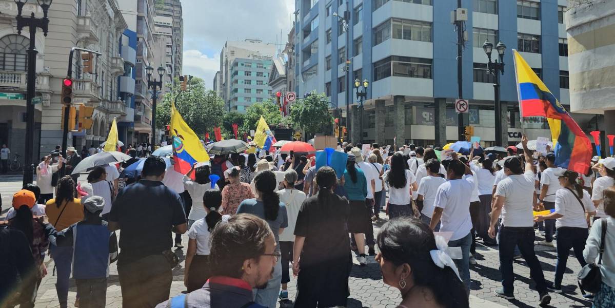 Unos 40 colectivos marcharon en respuesta a una sentencia de la Corte Constitucional sobre una niña trans