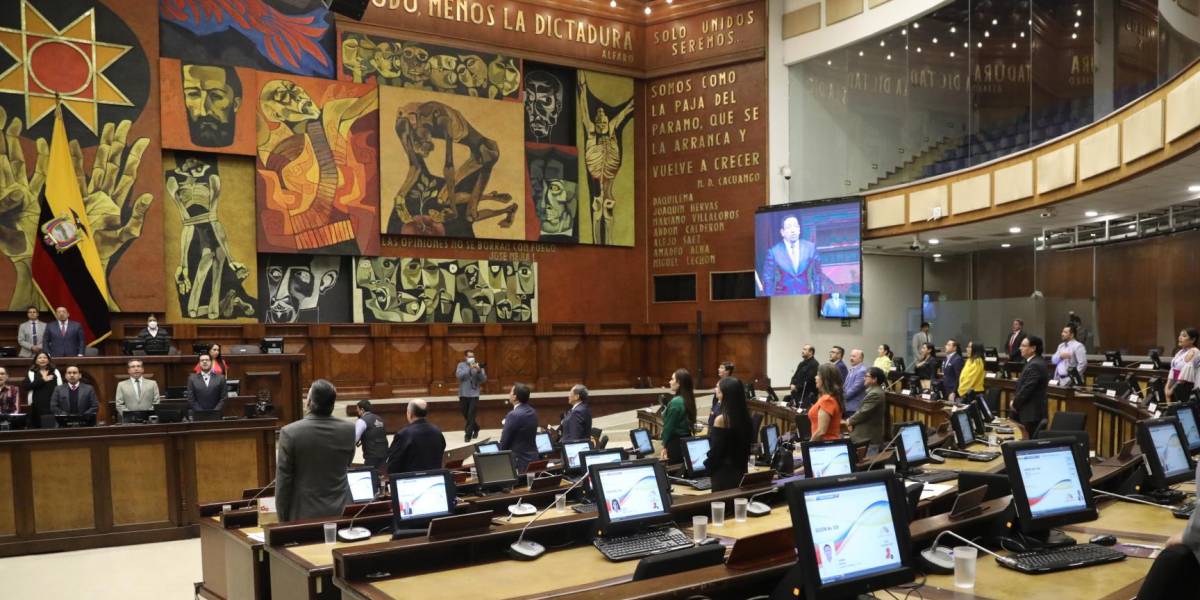 Asamblea Nacional: 29 leyes aprobadas en siete meses de gestión