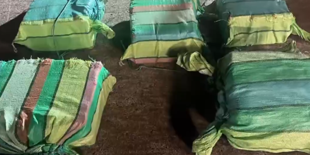 12 toneladas de droga que iban a EE. UU. y México son incautadas en Ecuador