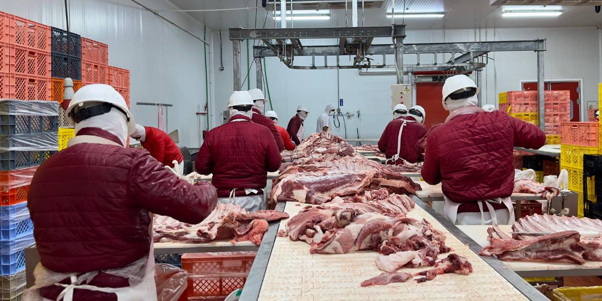 21 460 contratos laborales se encuentran abiertos y vigentes, en Durán