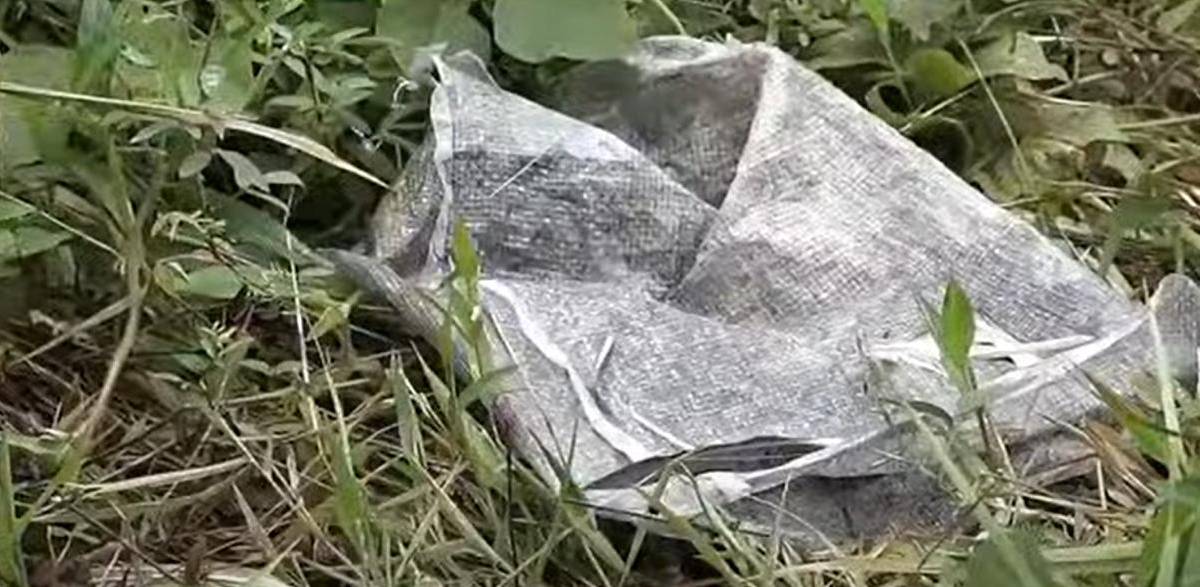 Hallan dos cuerpos en un terreno baldío en Santo Domingo