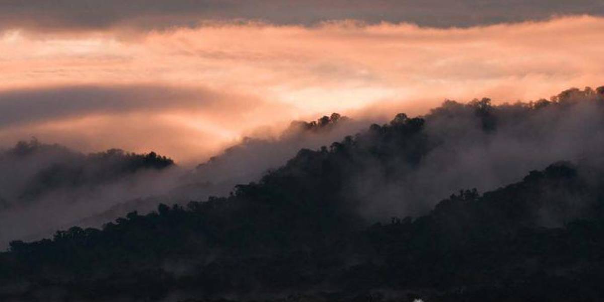 El Distrito Metropolitano de Quito tendrá una nueva administración zonal: Chocó Andino