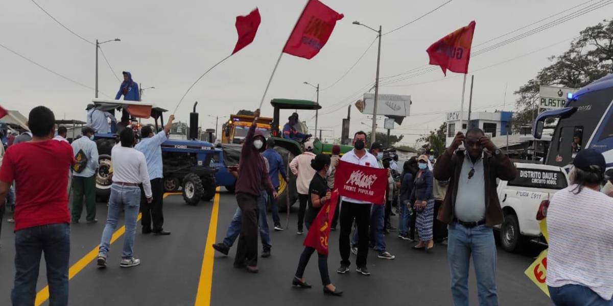 Arroceros, bananeros y docentes protestaron en Guayas, Los Ríos y El Oro