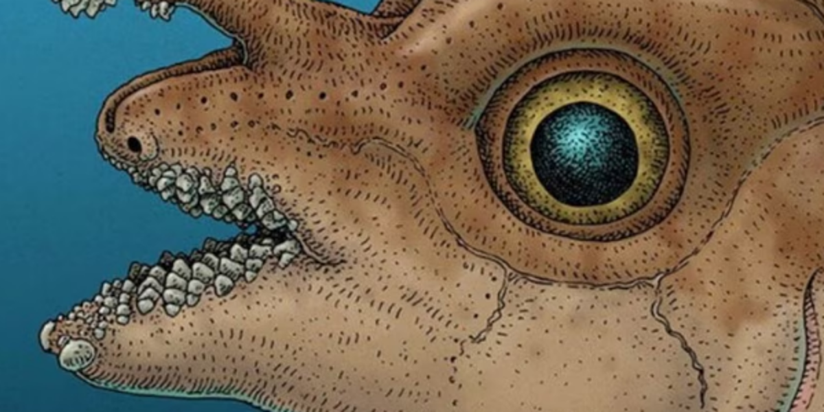 Un extraño pez utiliza dientes en la frente para aparearse