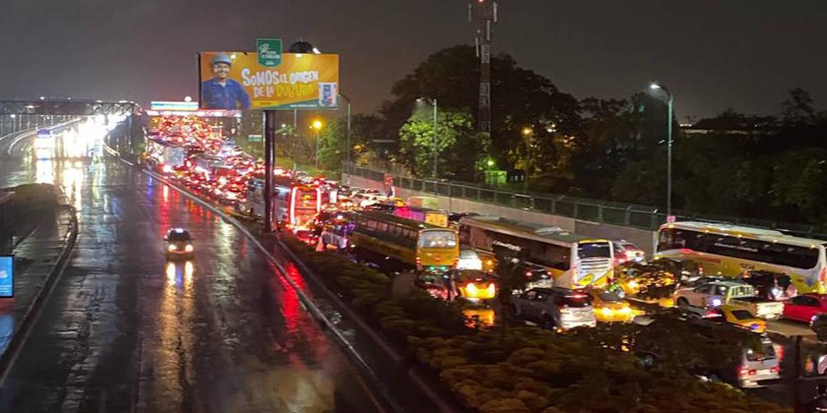 Un árbol caído durante la lluvia obliga al cierre del puente Guayaquil-Samborondón