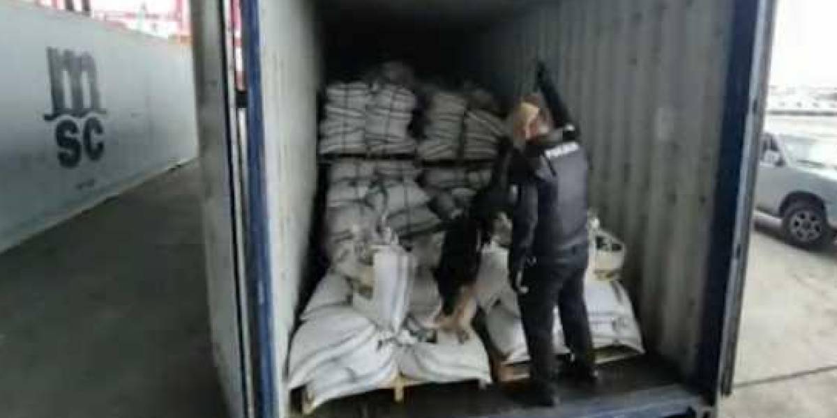 Incautan en El Oro 22 toneladas de fertilizante mezclado con cocaína que iba a Países Bajos