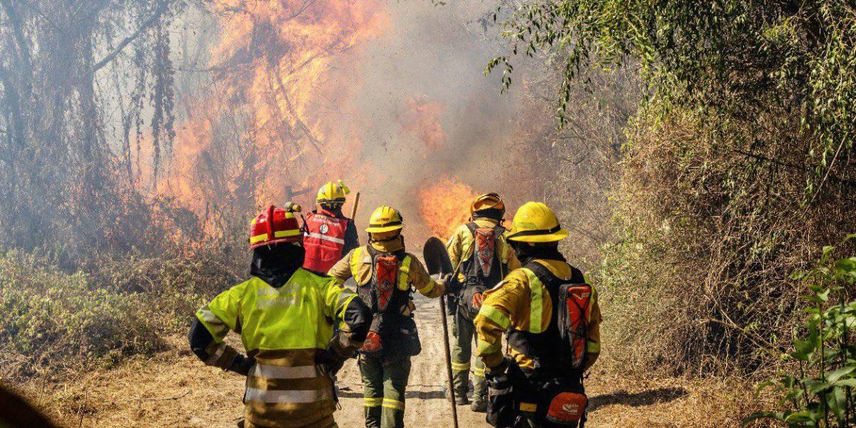 El Inamhi advierte sobre condiciones climáticas favorables para la propagación de incendios forestales del 6 al 10 de septiembre