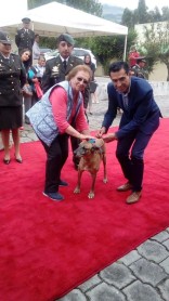 Canes reciben honores tras años se servicio en la Policía