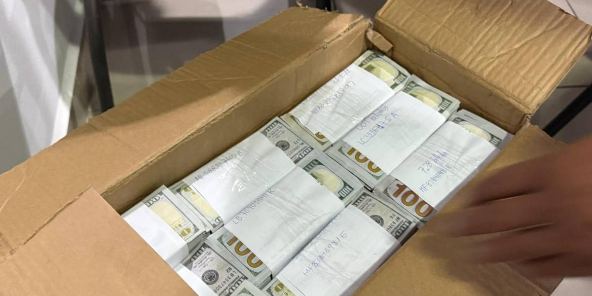Un hombre fue detenido con USD 12 millones en billetes falsos en San Isidro del Inca, al norte de Quito
