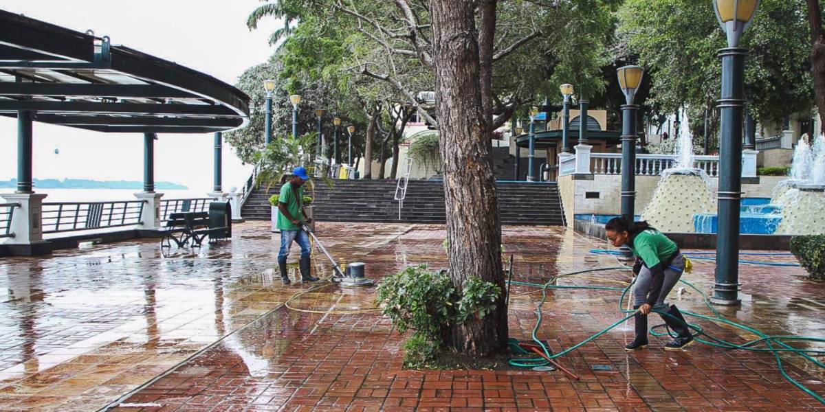 La Alcaldía de Guayaquil intensifica limpieza en Puerto Santa por migración masiva de garzas