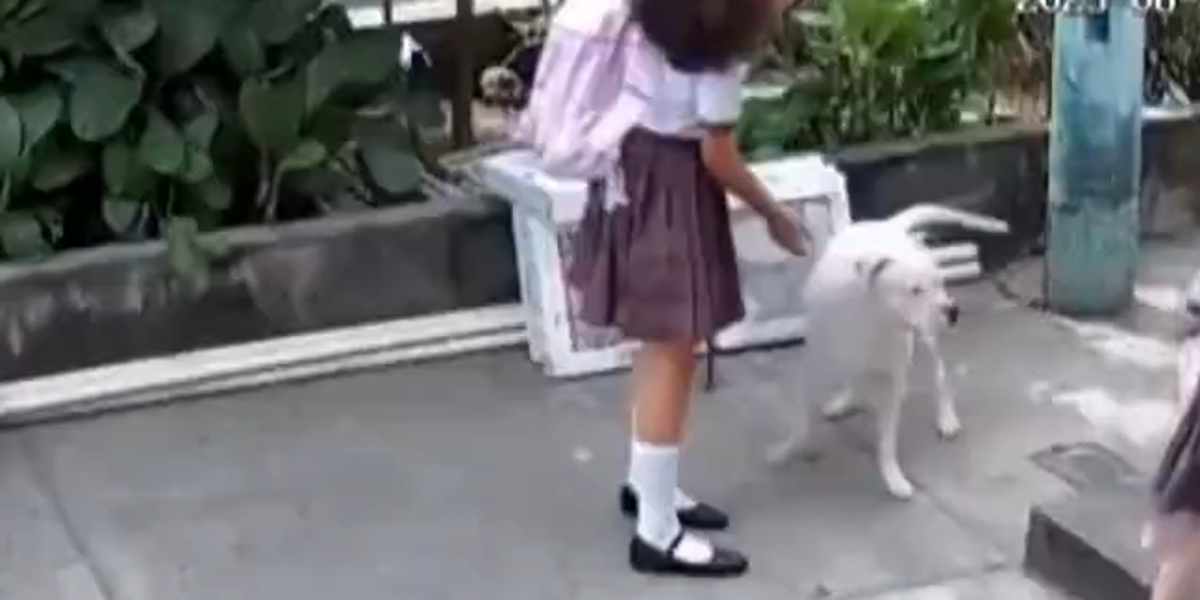 Ataque de pitbull dejó a Gianna marcada de por vida y su familia pide ayuda urgente