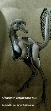 El vino en el embarazo perjudica el coeficiente intelectual del bebé