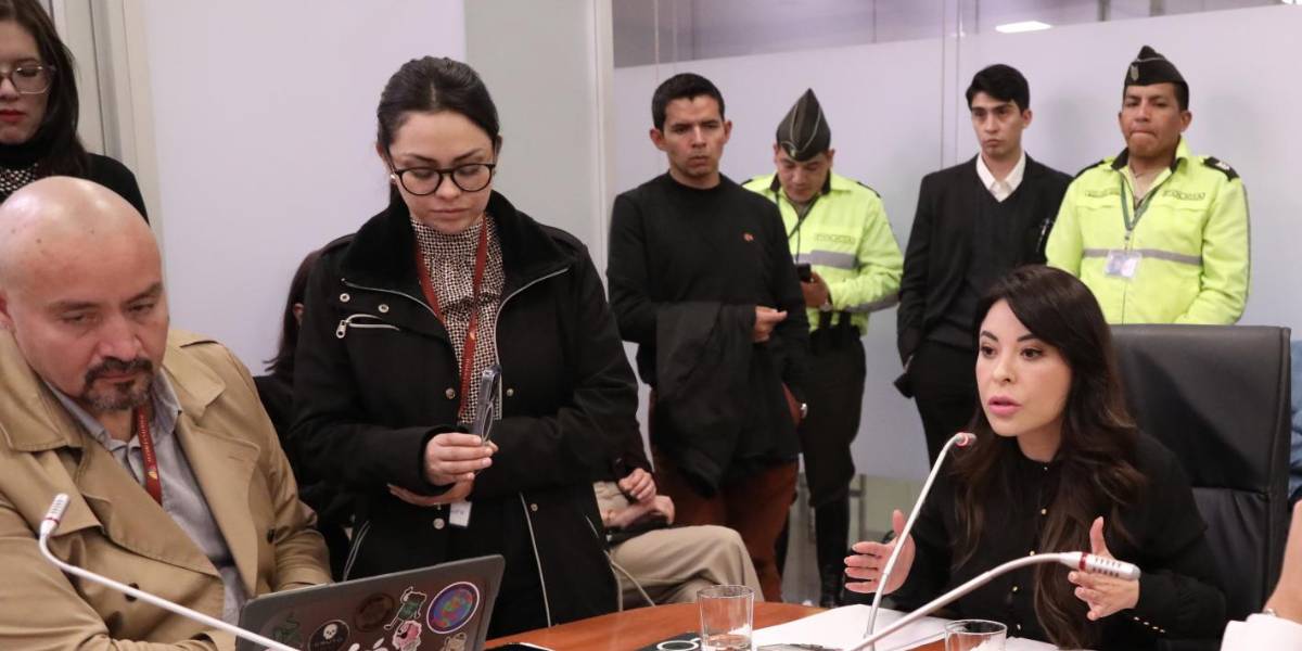Concesión del Campo Sancha: Fiscalización de la Asamblea volverá a convocar a la ministra de Energía, Inés Manzano