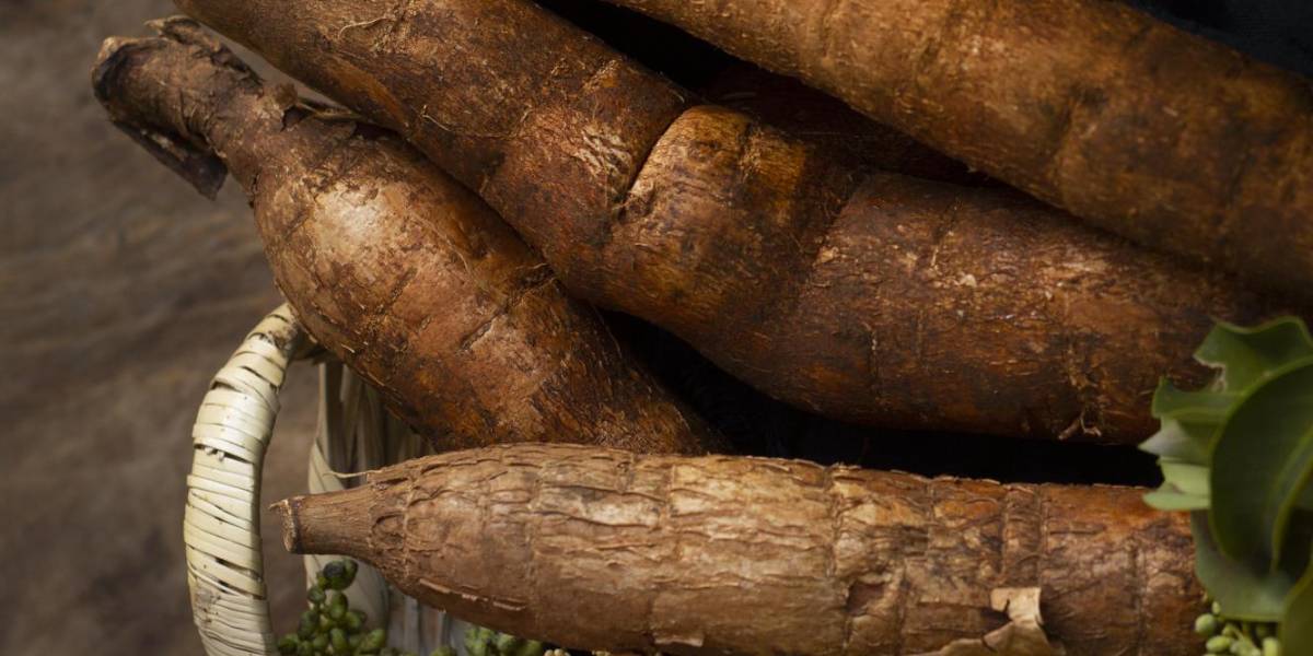 ¿Cansado del Pescado? Este alimento te ayudará a fortalecer más tu memoria