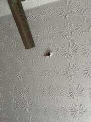 Hueco en el techo de una casa que ocasionó un meteoro.