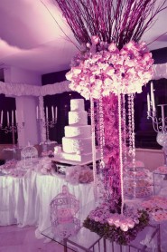 Famosos celebraron junto a Claudia Camposano su mágico día