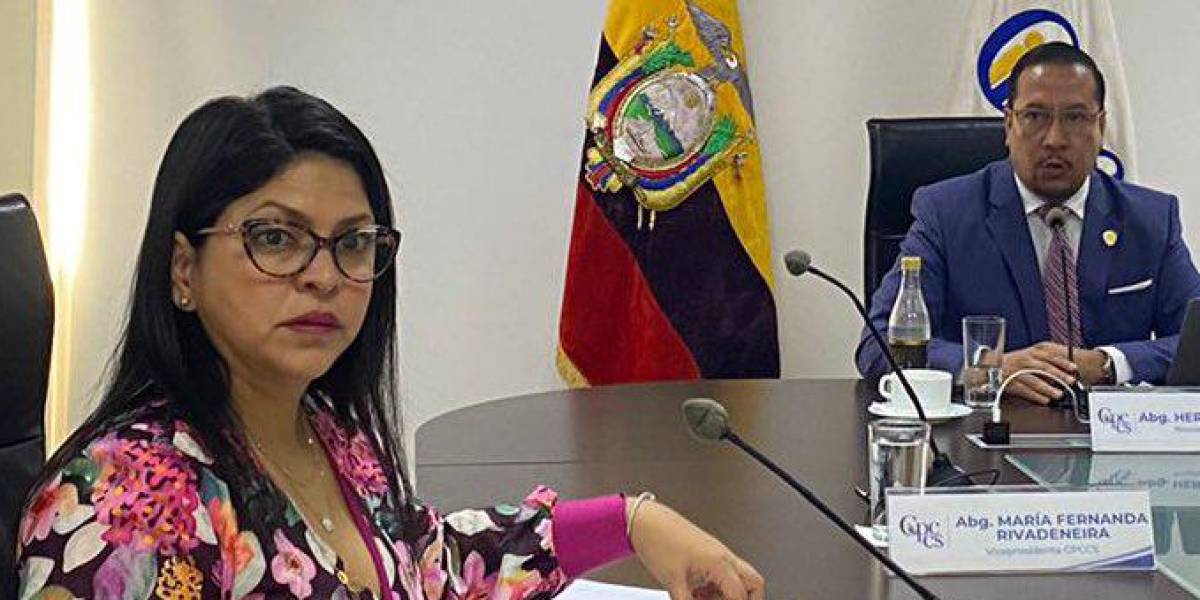 Consejera Ibeth Estupiñán niega injerencia del Ejecutivo en la selección del superintendente de Bancos