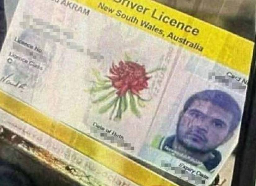 Licencia del supuesto perpetrador.