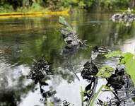 Corte de Sucumbíos declara responsable a Petroecuador por derrame de crudo que afectó a 18 comunidades