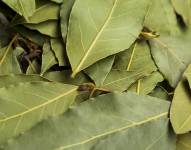 Las hojas de laurel han estado asociadas a la victoria desde época clasica.