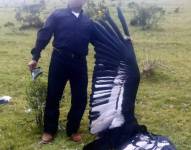 Imagen compartida por Fundación Cóndor Andino Ecuador de la persona que encontró el cóndor muerto en la provincia de Imbabura.