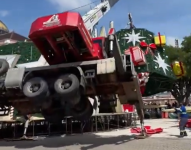 Video del momento exacto en el que la grua cae con el árbol