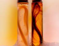 El cabello, a la vez profundamente personal y objeto de escrutinio público, se sitúa en la frontera entre la biología y la identidad. Pocos atributos están tan ligados a la cultura, la belleza y la expresión como los mechones que enmarcan nuestros rostros y salpican nuestra piel.