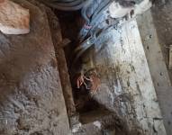 Toda clase de equipos del sistema de electrificación es hurtado en Quito.