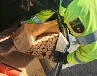Durante el registro de un bus interprovincial, detectaron varias cajas de cartón que contenían una gran cantidad de material explosivo.