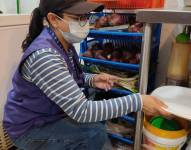 Los técnicos realizaron inspecciones en respuesta a denuncias ciudadanas.